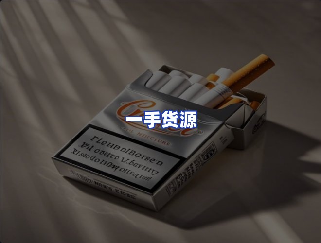 专业团队